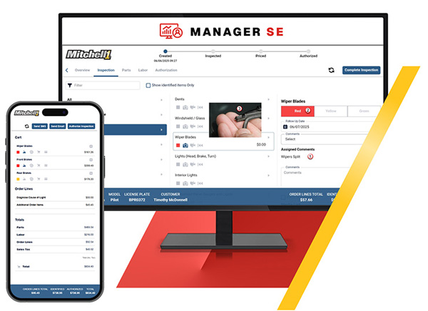 MSE Inspections Screen web