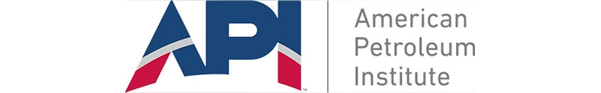 API Logo